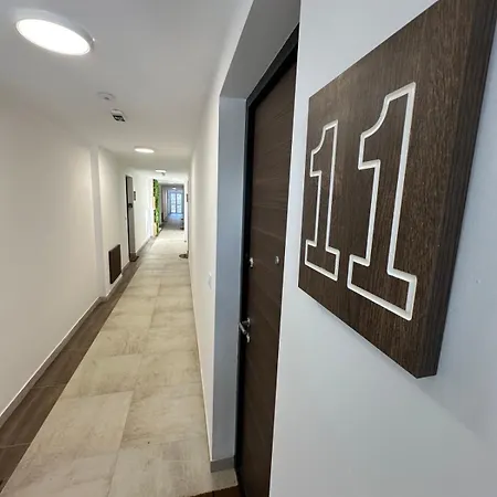 Kota992 Tanja * Divcibare